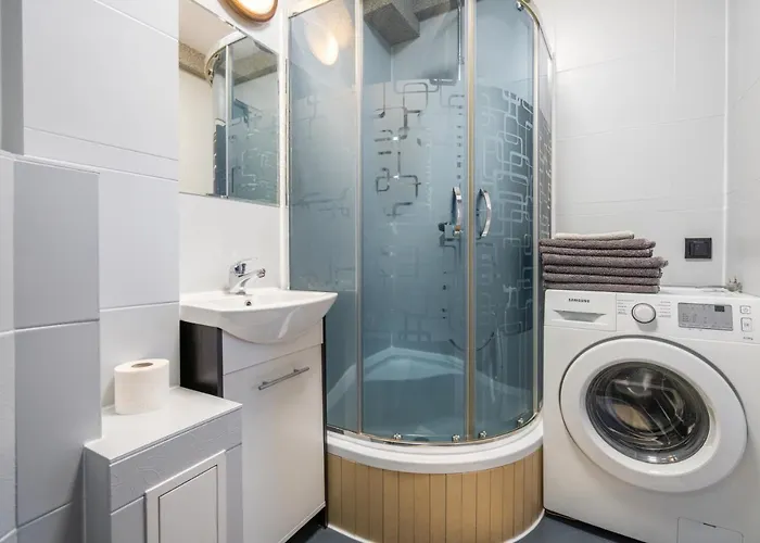 Finski Z Sauna 公寓 *